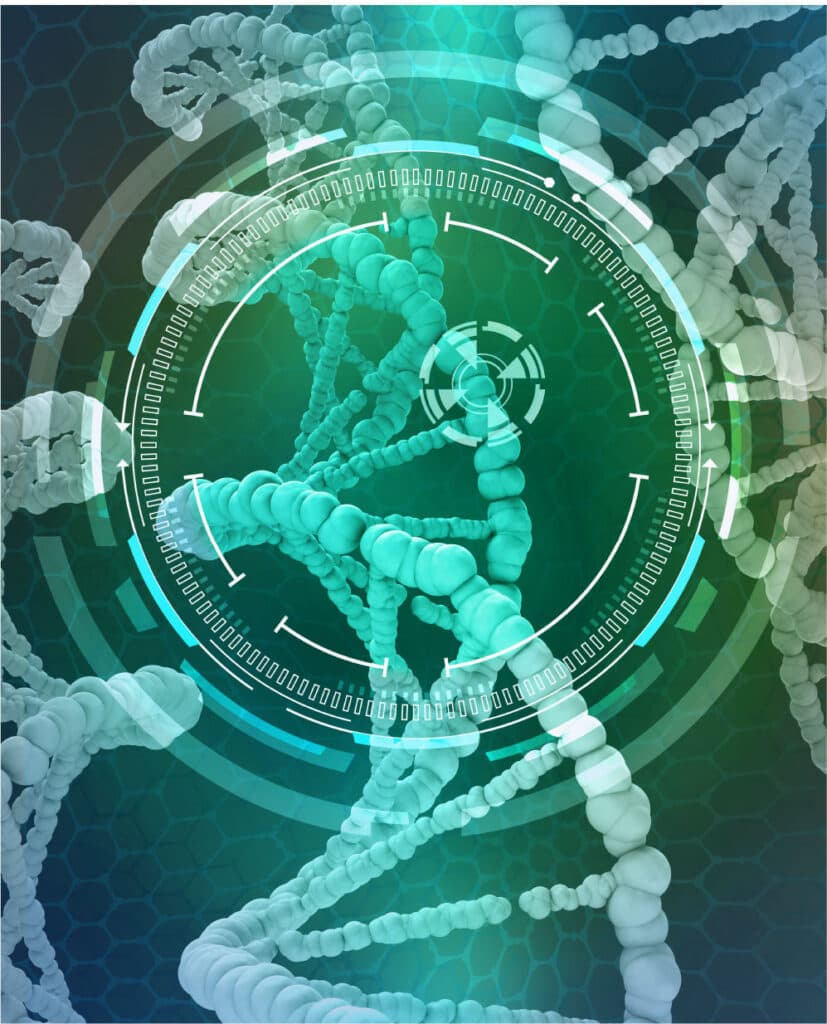 Minicircle Follistatin Gene Therapy